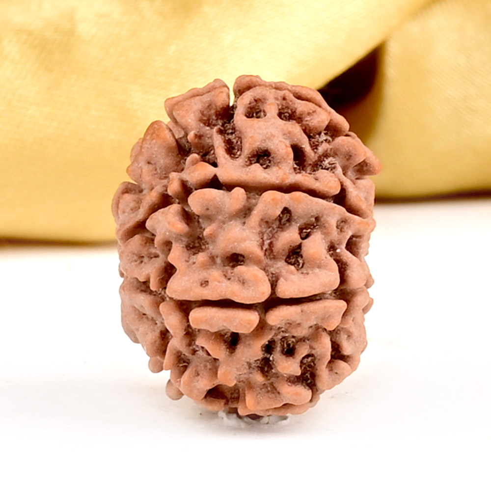 5 Mukhi Rudraksha Bracelet